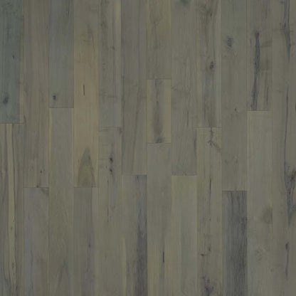 Novella in Williams Maple Hardwood