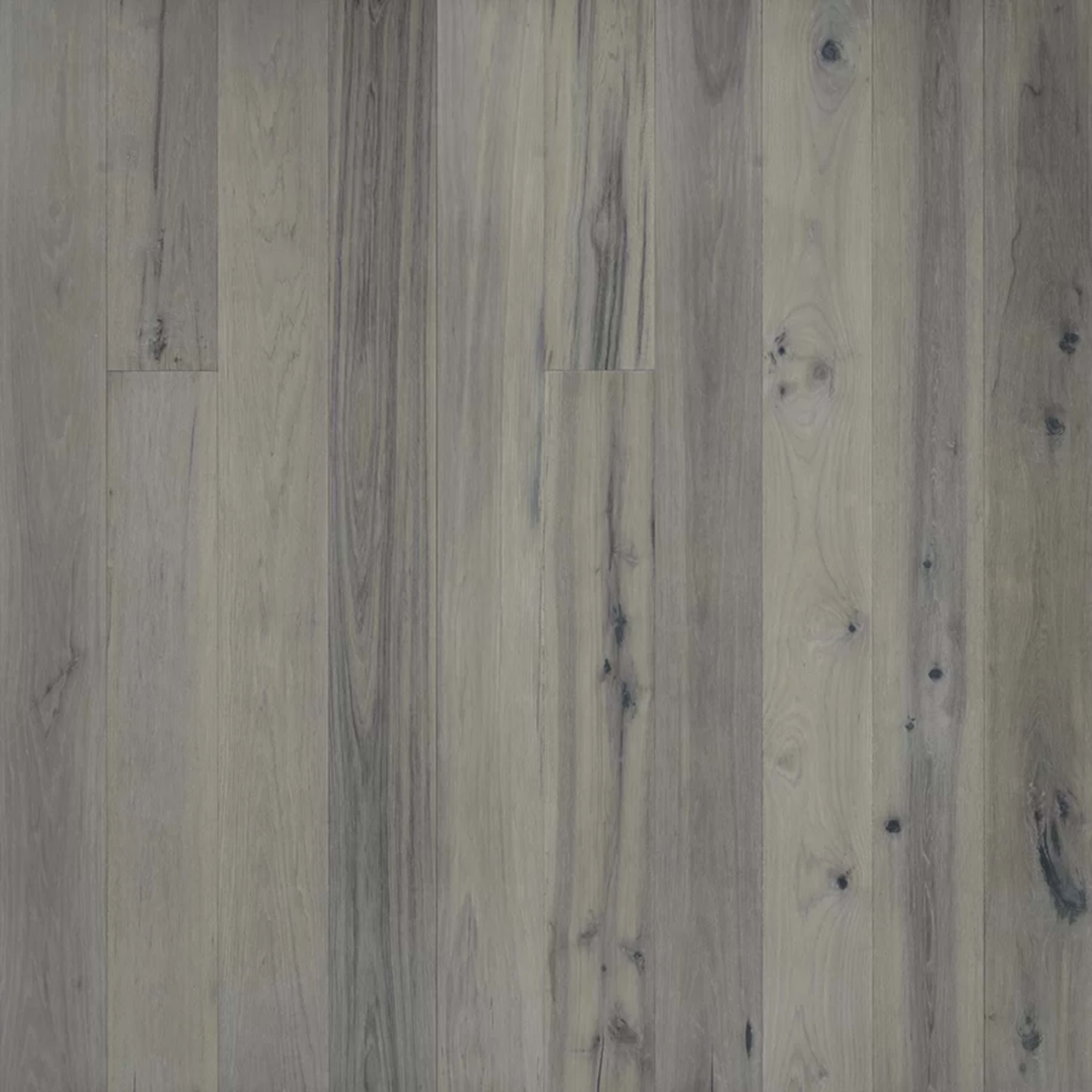 True Collection in Jasmine Hickory Hardwood