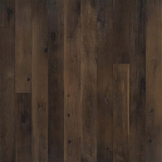 True Collection in Neroli Oak Hardwood