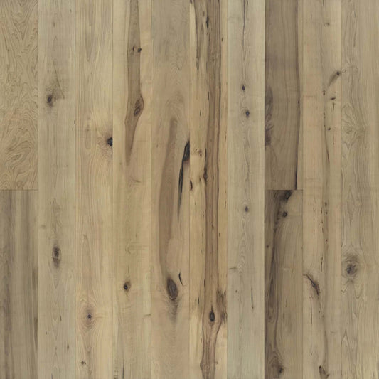 True Collection in Orris Maple Hardwood