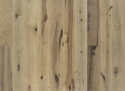 True Collection in Orris Maple