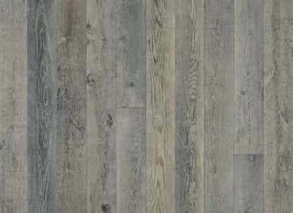 True Collection in Silver Needle Oak
