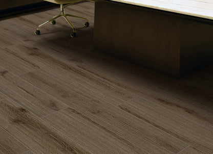 Provident - Urban in Riverbed
