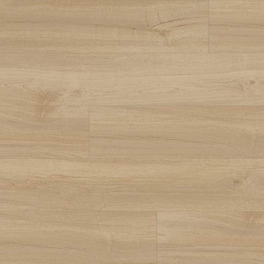 Provident - Civic in Park Ridge Luxury Vinyl