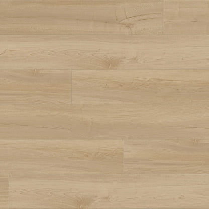 Provident - Public in Park Ridge Luxury Vinyl