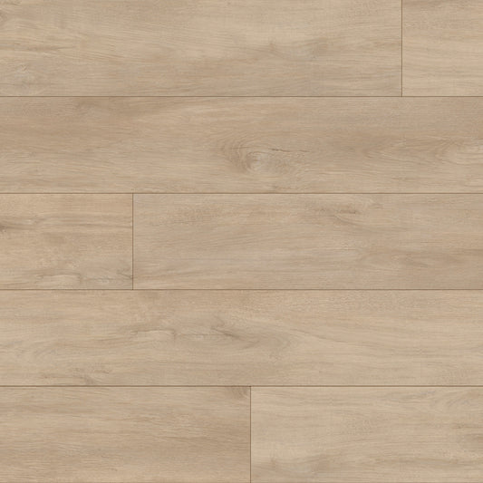 Provident - Urban in Ridge Luxury Vinyl
