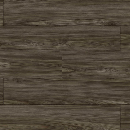 Provident - Urban in Woodbine Luxury Vinyl
