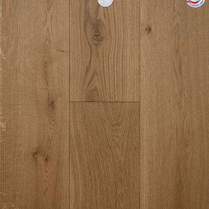 Dutch Masters in Bosch Hardwood