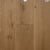 Dutch Masters in Bosch Hardwood