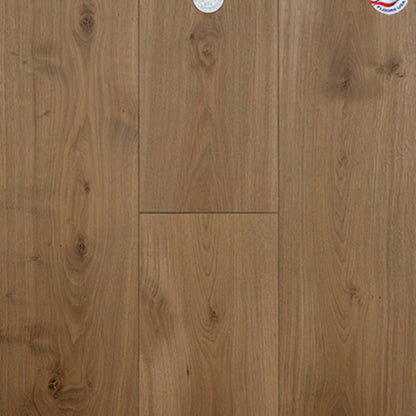 Dutch Masters in Gaspar Hardwood