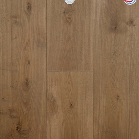 Dutch Masters in Gaspar Hardwood
