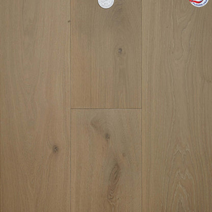 Dutch Masters in Mondrian Hardwood