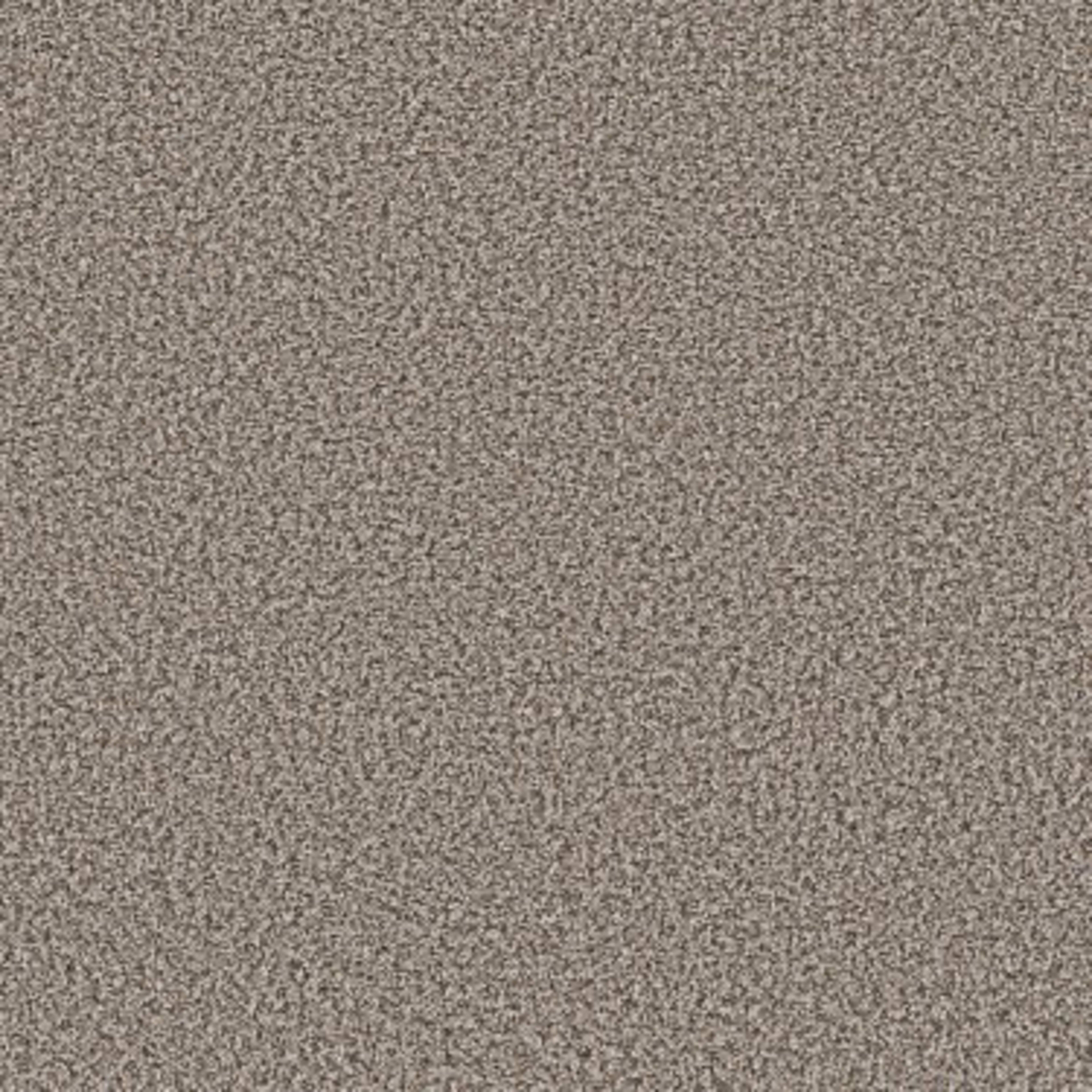 QS850 in Dolphin Carpet