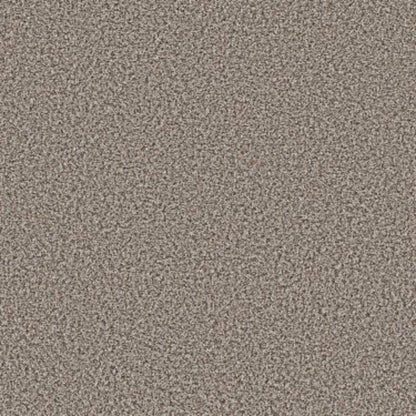 QS850 in Dolphin Carpet