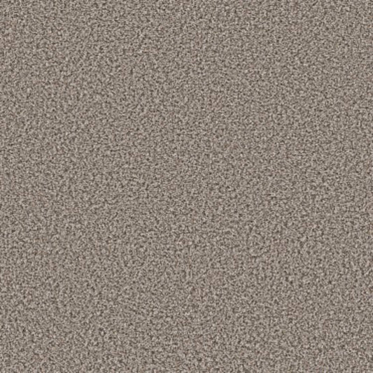 QS850 in Dolphin Carpet