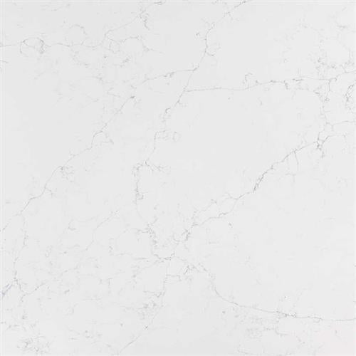 Q Premium Natural Quartz in Calacatta Botanica