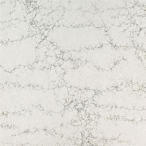 Q Premium Natural Quartz in Lido Blanco