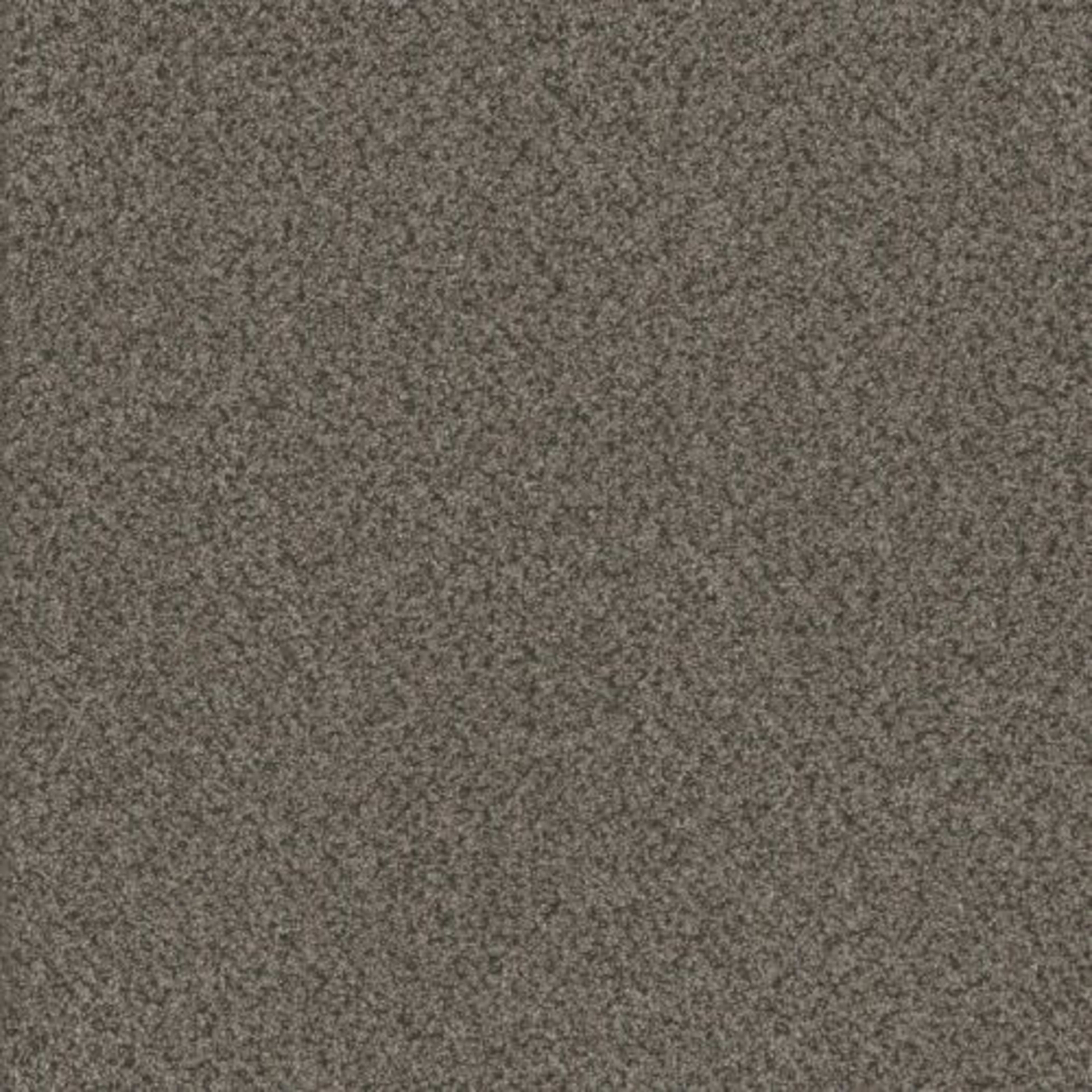 TITAN II in Quail Hollow Carpet