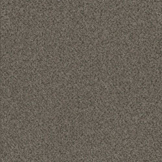 TITAN II in Quail Hollow Carpet