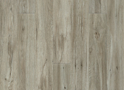 PureGrain Endure - New Standard II in Paradise