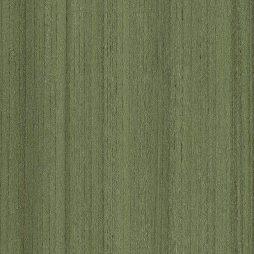 COLOR SCOPE 30 in Cactus