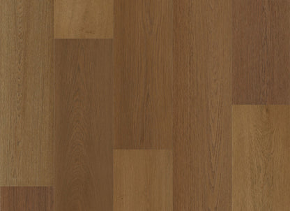 PureGrain Endure - Preference in Ghost Ranch