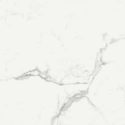 Imperiale in Statuarietto Rt-60x120