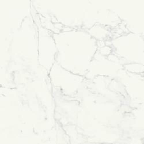 Imperiale in Bianco Glossy Rt-58x58