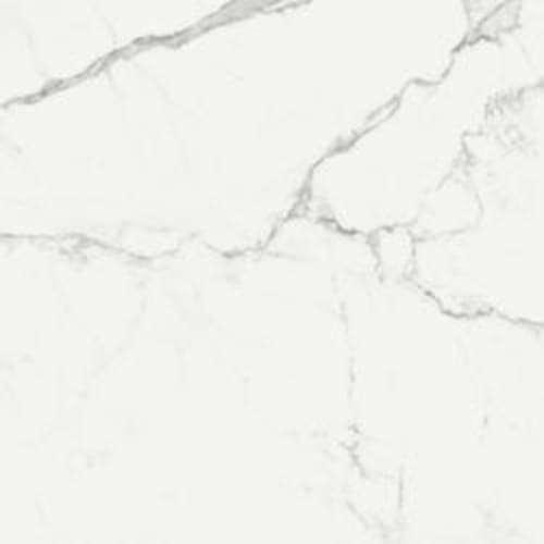 Imperiale in Statuarietto Glossy Rt-58x58