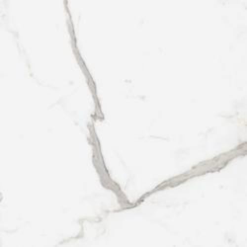 Incanto - 60X60 in Statuario Venato Glossy Rt-60x60