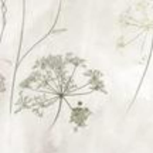 Maiora Concrete Effect in Botanical _B Silky Rettificato-120x240