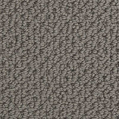 Radiant Fit in Raven Carpet