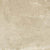 Clayton in Earth C2 Rt-12x24 Tile