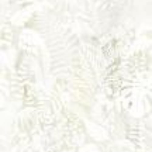 Incanto - 120X278 in Decoro Tropical Glossy-120x278