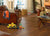 ADURA®Rigid - Acacia in Tiger's Eye
