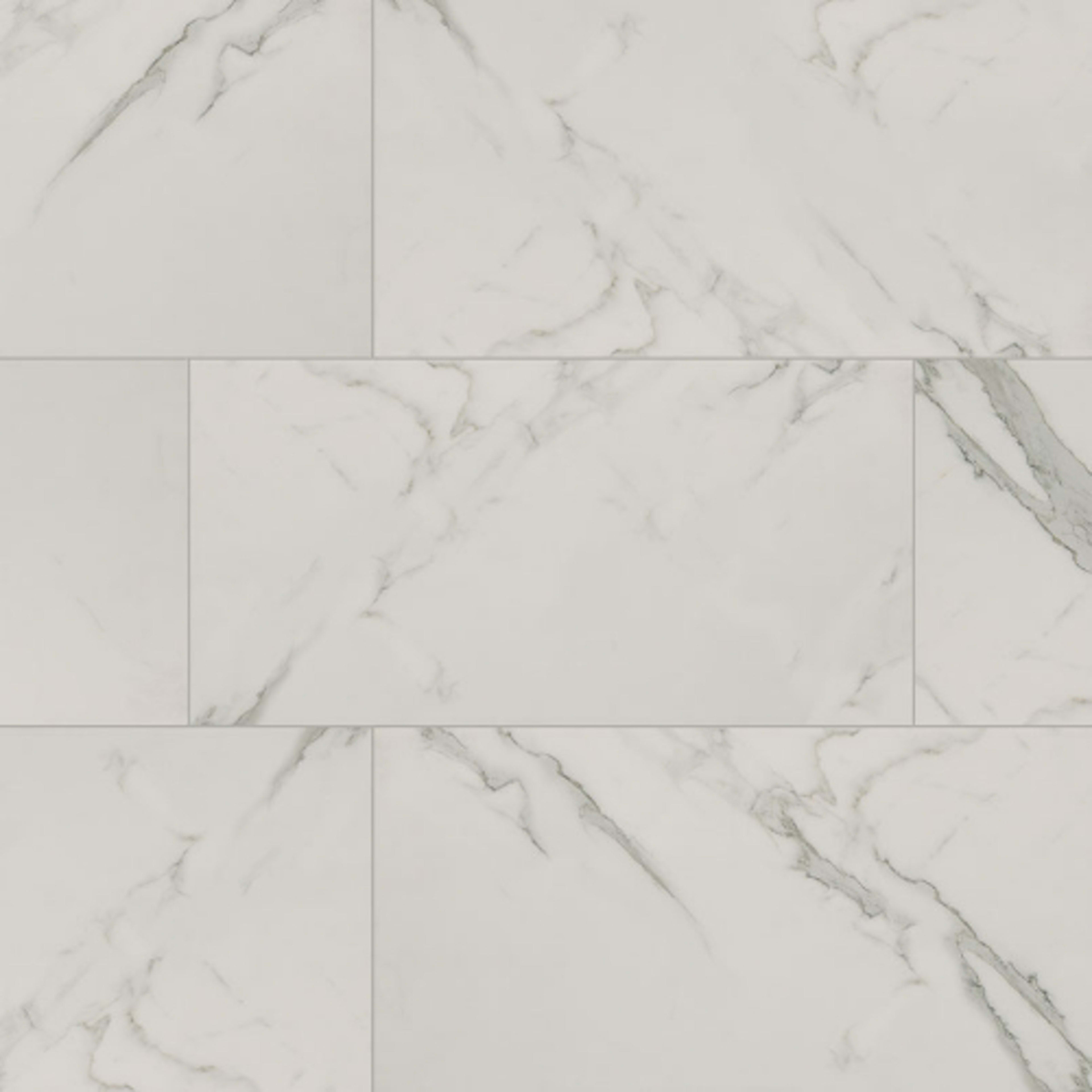 Regallo in Calacatta Isla - 12x24 Matte Tile