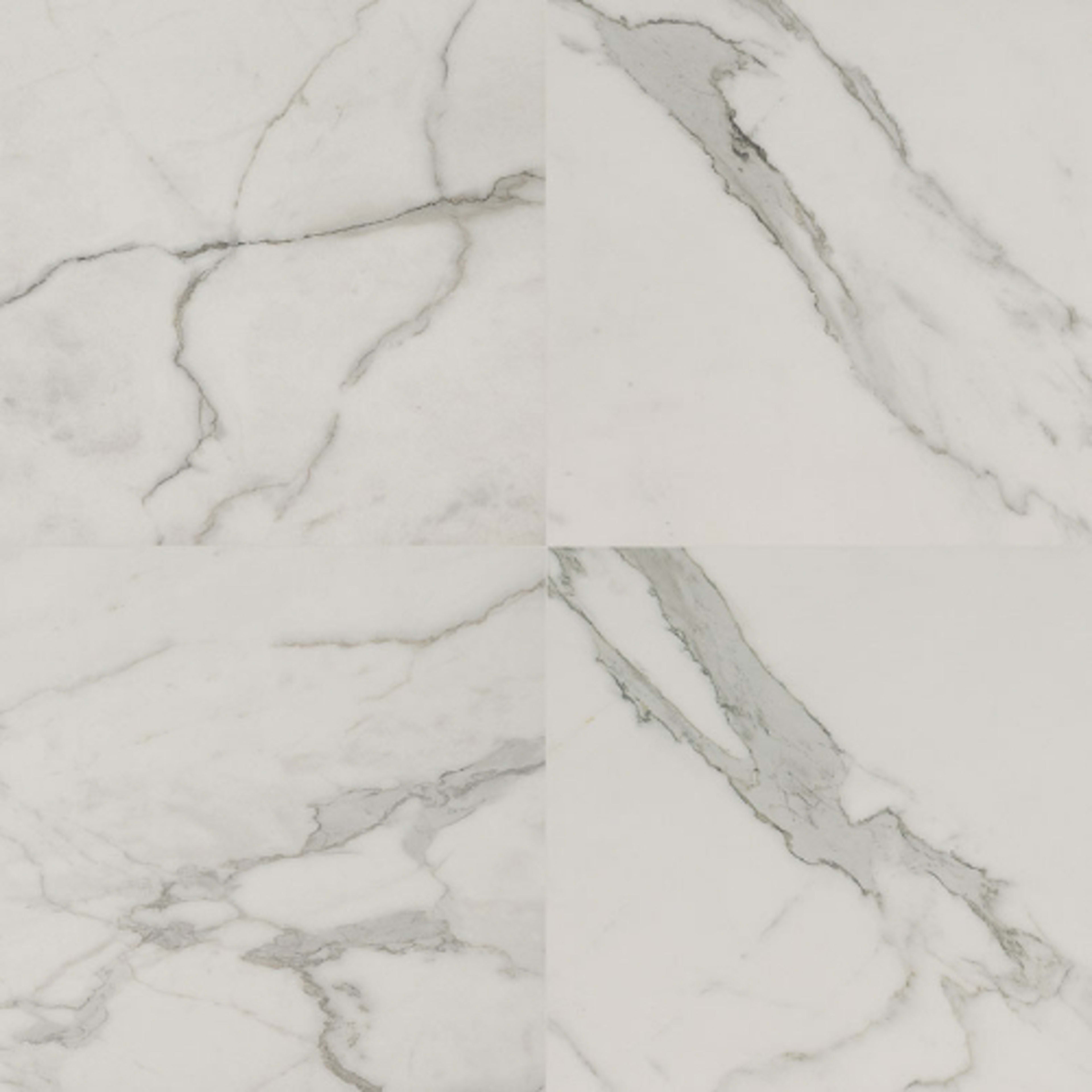 Regallo in Calacatta Isla - 24x24 Matte Tile