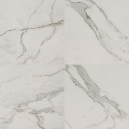 Regallo in Calacatta Isla - 24x24 Matte Tile
