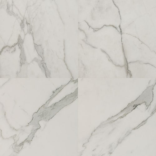 Regallo in Calacatta Isla - 24x24 Polished