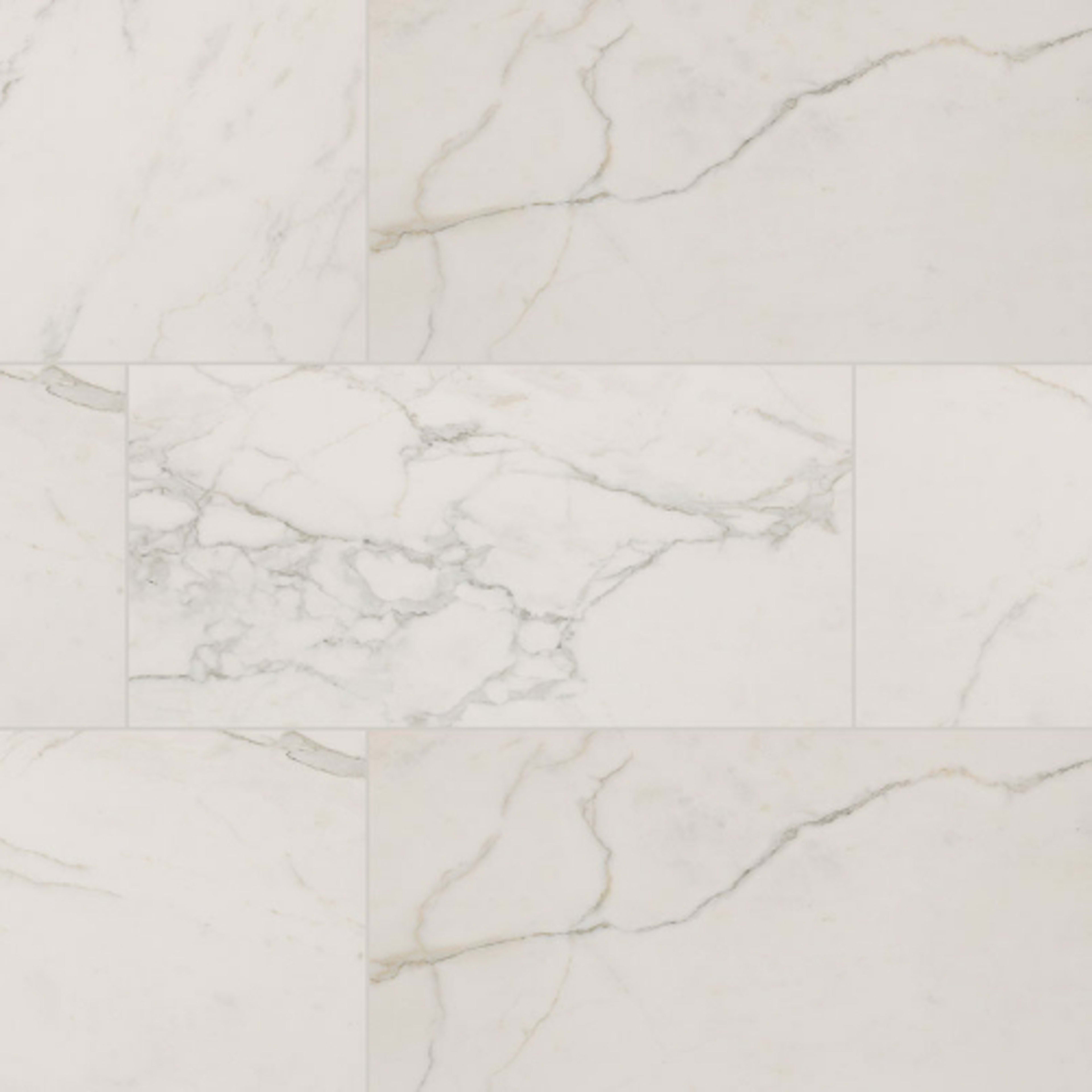 Regallo in Calacatta Isla - 24x48 Matte Tile