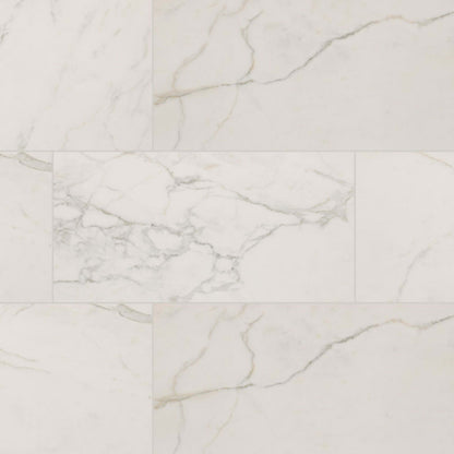 Regallo in Calacatta Isla - 24x48 Matte Tile