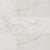 Regallo in Calacatta Isla - 24x48 Matte Tile
