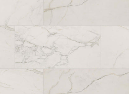 Regallo in Calacatta Isla - 24x48 Matte