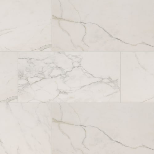 Regallo in Calacatta Isla - 24x48 Polished