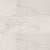 Regallo in Calacatta Isla - 24x48 Polished Tile