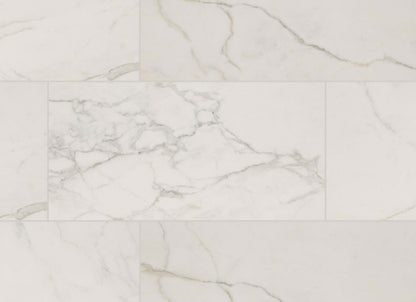 Regallo in Calacatta Isla - 24x48 Polished