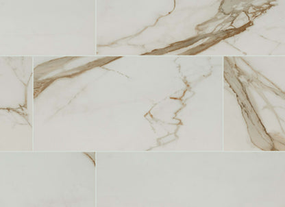 Regallo in Calacatta Marbella - 12x24 Matte