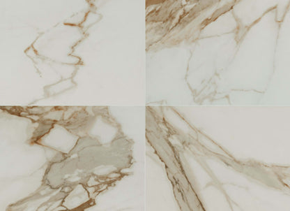Regallo in Calacatta Marbella - 24x24 Matte