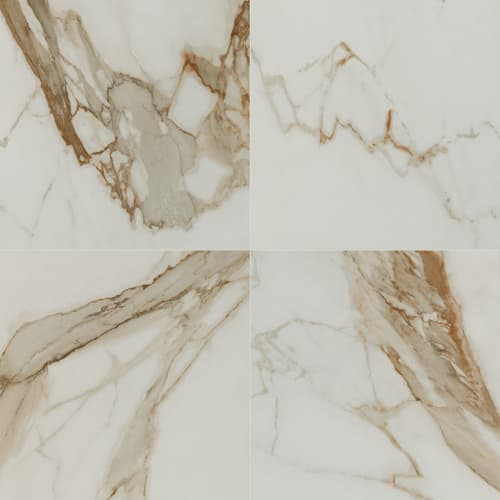 Regallo in Calacatta Marbella - 24x24 Polished