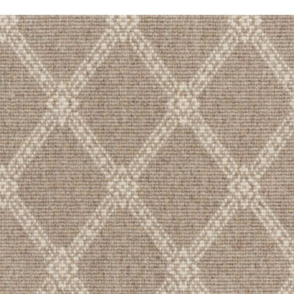Robust in Dune Carpet